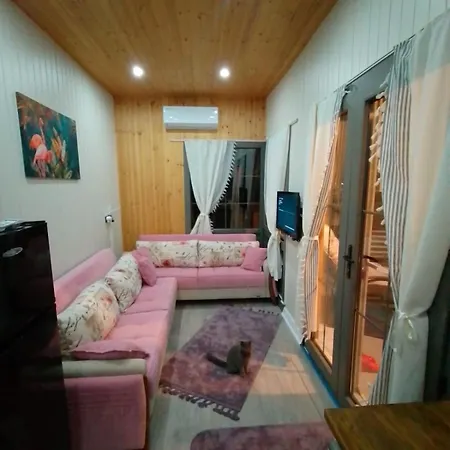 Bella Vista Nature House's